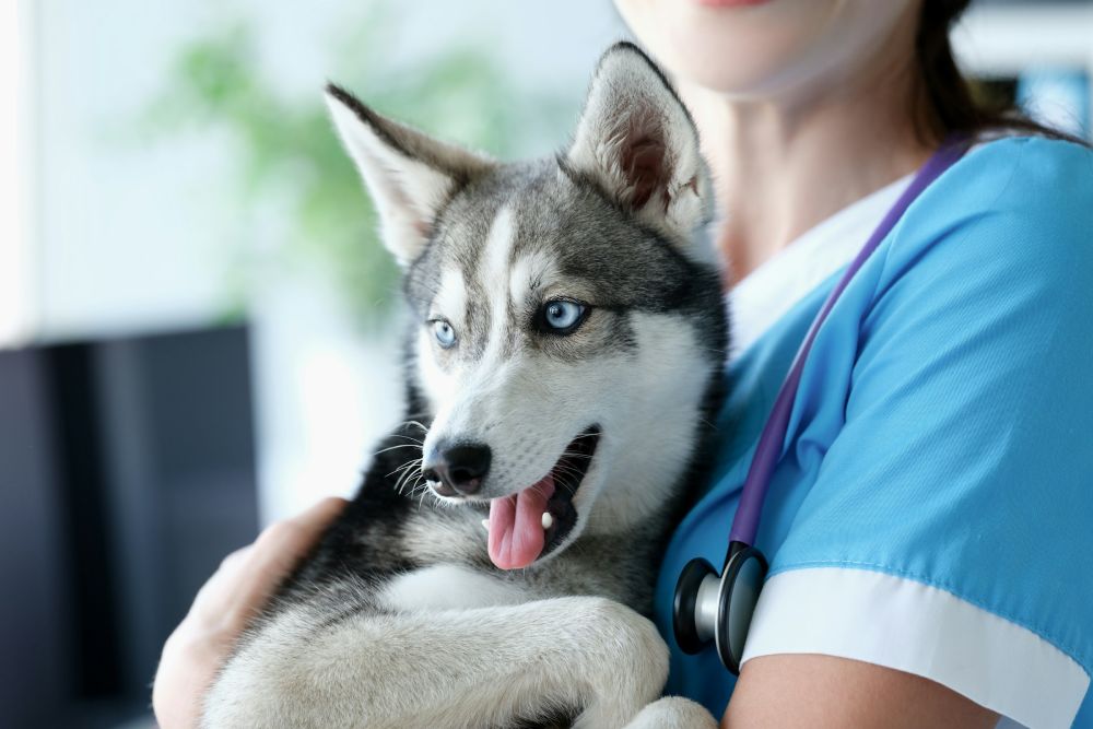 Expert Diagnostic Imaging You Can Count On