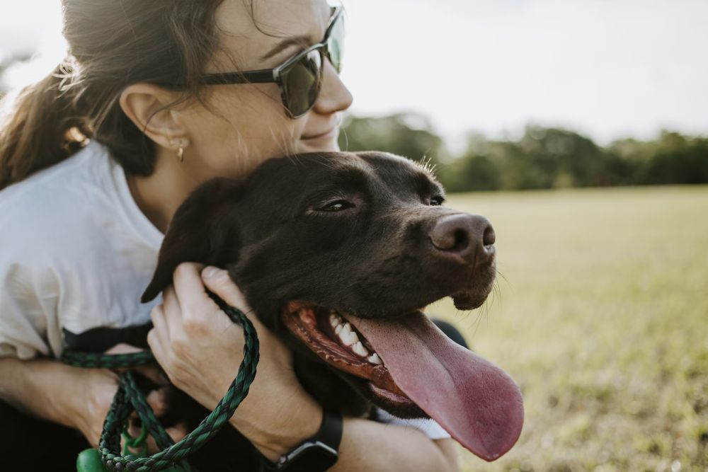 woman-hugging-a-dog Emergency Veterinary Services You Can Rely On
