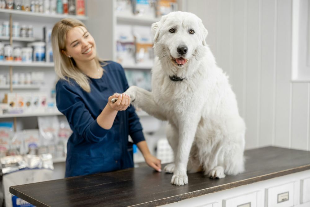 Accurate Answers with Compassionate, Cutting-Edge Care